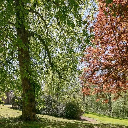 Chateau Chevalier Des Montys Bed & Breakfast